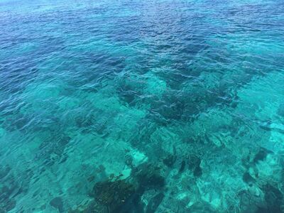 Corendon ile Bayram Özel Dominik Cumhuriyeti Ada Turu 30 Nisan 6 Mayıs