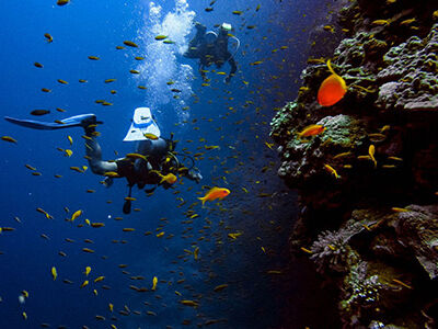 İzmir Çıkışlı Likya - (Fethiye) Turu 4 Gece 5 Gün