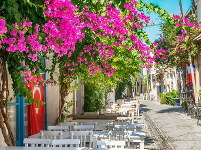 Seferihisar Mandalina Festivali - Çeşme - Alaçatı - Efes - Şirince Turu