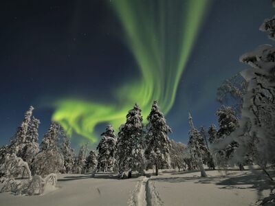 LAPLAND & KUZEY IŞIKLARI RÜYASI  Türk Hava Yolları 4 Gece 5 Gün SÖMESTRE ÖZEL