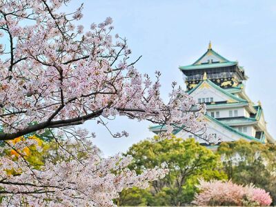 Uzak Doğu'nun Güneşi ve Çiçeği: ''Güney Kore ve Japonya'' 8 Gece 10 Gün  22 MART 