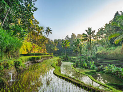 BALİ TURU Thy İle Kurban Bayramı Özel