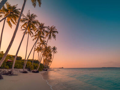 BALİ TURU Thy İle Kurban Bayramı Özel 