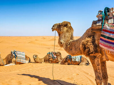 PREMIUM: Tunus ve Sahra Çöl Safarisi Turu 4 Gece 5 Gün Türk Hava Yolları ile