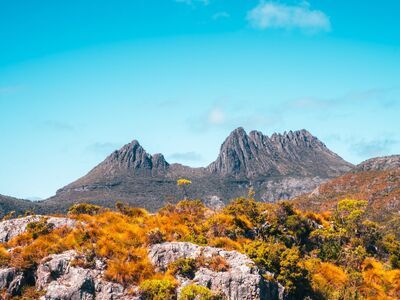 BÜYÜK ÇİN VE EFSANEVİ AVATAR DAĞLARI – Turlar Dahil  Türk Hava Yolları ile 11 Gece 13 Gün