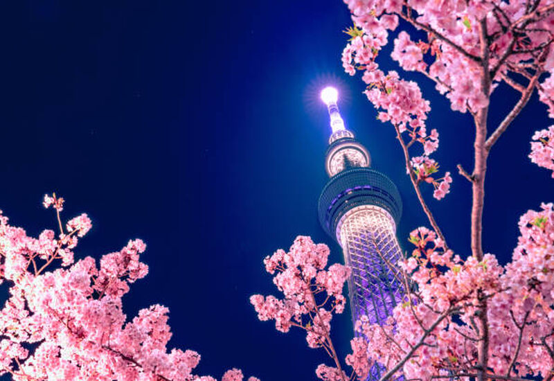 JAPONYA’NIN GİZLİ HAZİNELERİ - KIŞ Türk Hava Yolları ile 9 Gece 10 Gün