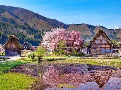 MAVİ JAPONYA OKINAWA’DAN TOKYO’YA Türk Havayolları ile 7 Gece 9 Gün (KIX-NRT)
