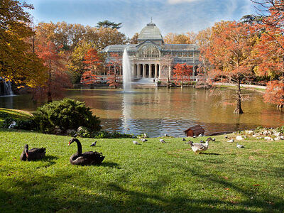 Ankara Hareketli İspanya’nın Kalbi Madrid & Barcelona Turu Ajet Havayolları İle 6 Gece 7 Gün