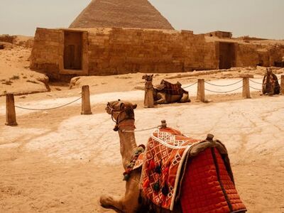 Klasik Mısır Gemi Turu 7 Gece 8 Gün   İskenderiye – Kahire – Aswan (Abu Simbel) – Luksor – Hurghada 