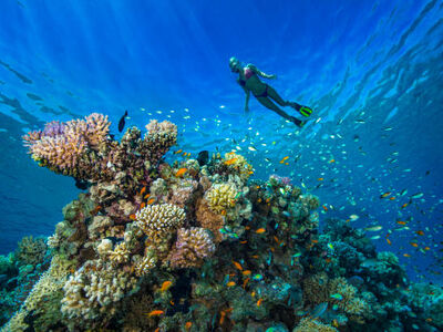 Antalya Hareketli Baştan Başa Mısır Turu Pegasus Hava Yolları İle 8 Gece 10 Gün -Hurghada ve Sharm’da Her Şey Dahil Konaklama