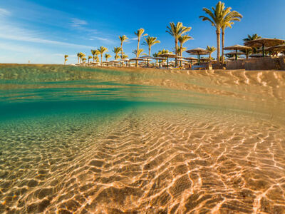 Ankara Hareketli Sharm el Sheikh Turu - Her Şey Dahil Konaklama – 4 Gece/ 5 Gün – Şehir Turu Dahil