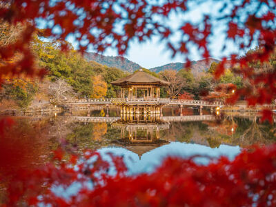 DOĞAN GÜNEŞİN ÜLKESİ: “JAPONYA” 6 Gece 8 Gün Qatar Hava Yolları İle Ara Tatil Özel