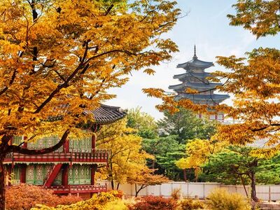 Japonya Kore Turu - Asiana Havayolları İle 10 Gece 12 Gün