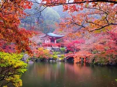 Japonya Kore Turu - Asiana Havayolları İle 10 Gece 12 Gün