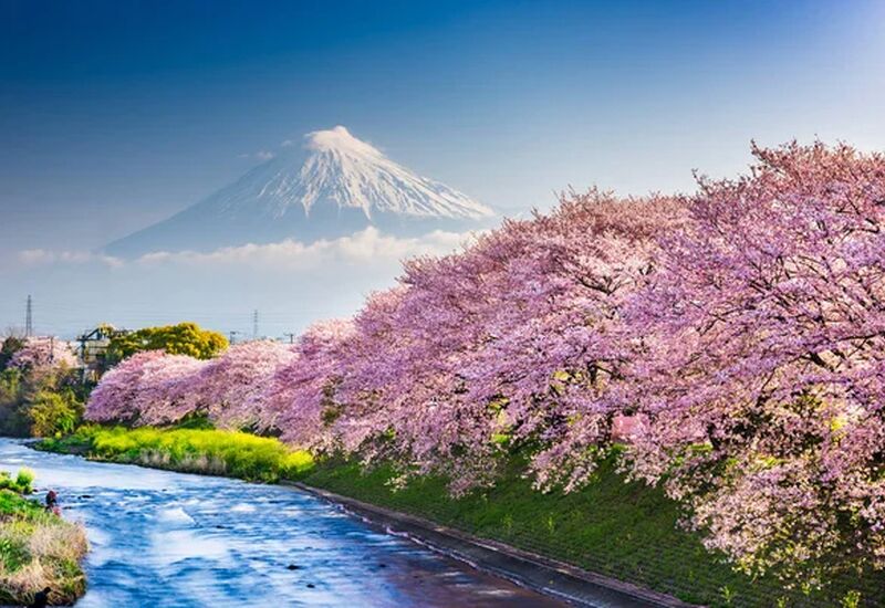 Japonya Kore Turu - Asiana Havayolları İle 10 Gece 12 Gün