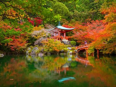 Japonya Kore Turu - Asiana Havayolları İle  10 Gece 12 Gün