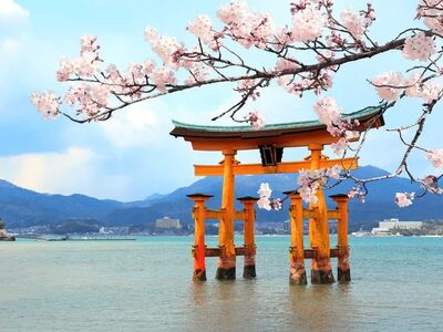 Büyük Japonya Kore Turu- Singapur Havayolları İle