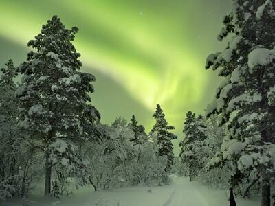 TURLAR DAHİL - BÜYÜLEYİCİ KUZEY IŞIKLARI & LAPLAND TURU THY İLE 3 GECE 4 GÜN