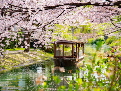 ELEGANT JAPONYA & GÜNEY KORE Türk Hava Yolları ile 9 Gece (ICN-NRT) NİSAN