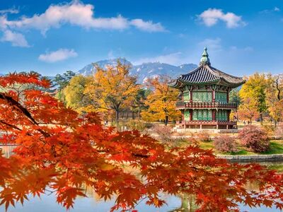 ELEGANT JAPONYA & GÜNEY KORE 9 Gece 12 Gün - Ekstra Turlar Dahil 