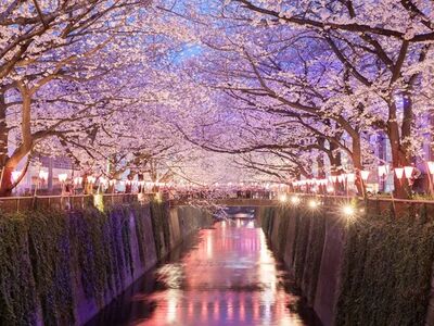 BÜYÜK JAPONYA TURU 2026 (ITM-HND)