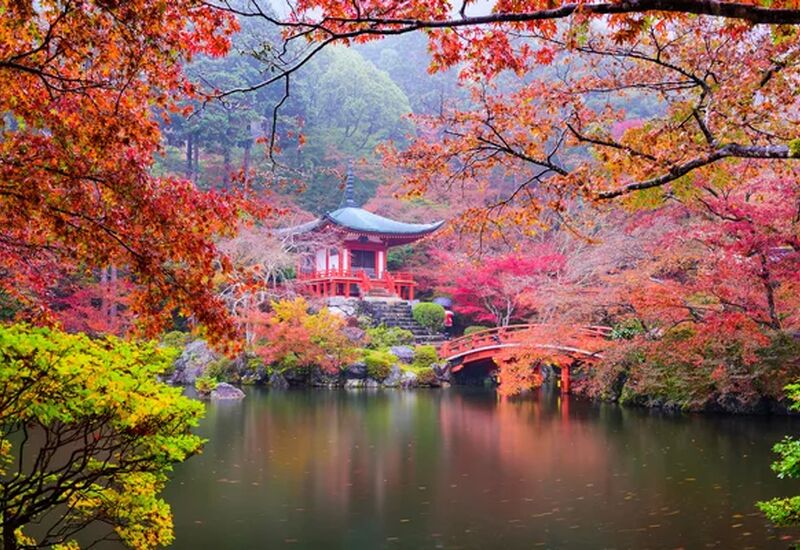 Comfort Japonya Turu Türk Hava Yolları ile 6 gece Ekstra Turlar Dahil ve Çay Seremonisi Dahil NRT-KIX 2026