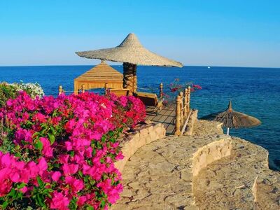 Promosyon Sharm El Sheikh Turu Ajet ile 4 Gece Otelden Erken Çıkışlı