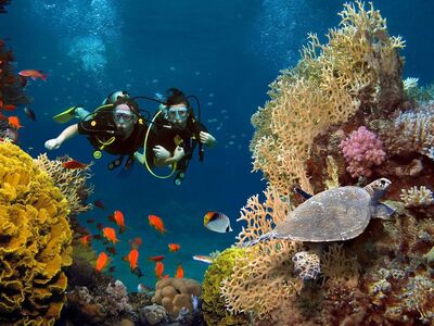 Baştan Başa Mısır Turu Pegasus Hava Yolları İle 8 Gece 9 Gün