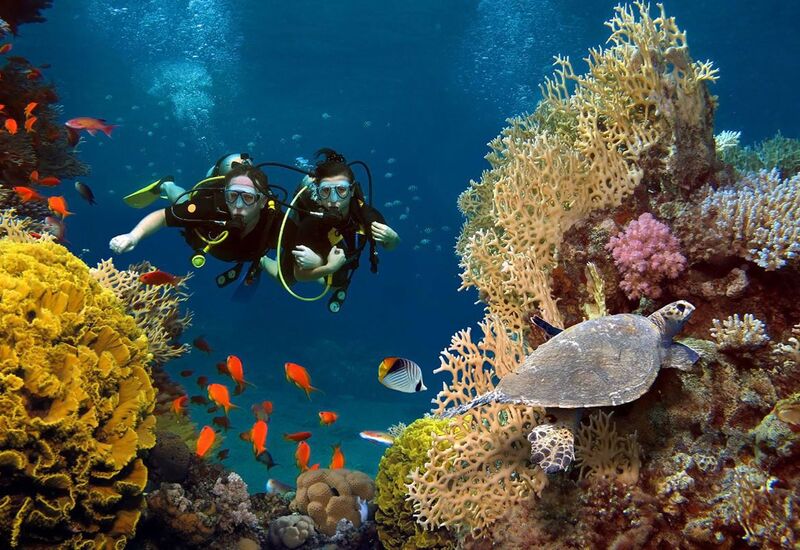 Ekstra Turlar Dahil Baştan Başa Mısır Turu Pegasus Hava Yolları İle 8 Gece 9 Gün - Kurban Bayramı Özel