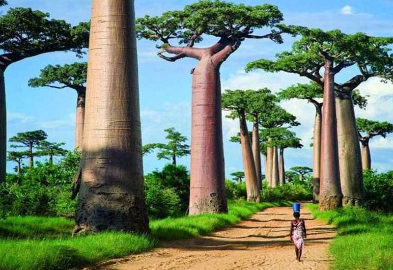 Madagaskar & Mauritius Turu Emirates Havayolları İle 10 Gece 12 Gün 2026