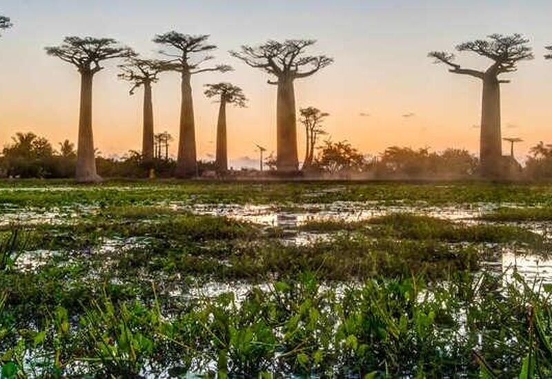 Madagaskar & Mauritius Turu Emirates Havayolları İle 10 Gece 12 Gün 2026