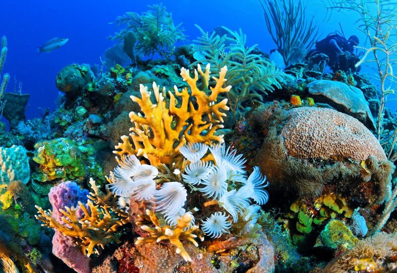 Baştanbaşa Mısır Masalı  (Sharm – Kahire – Hurghada) Ajet Hava Yolları İle 7 Gece 9 Gün