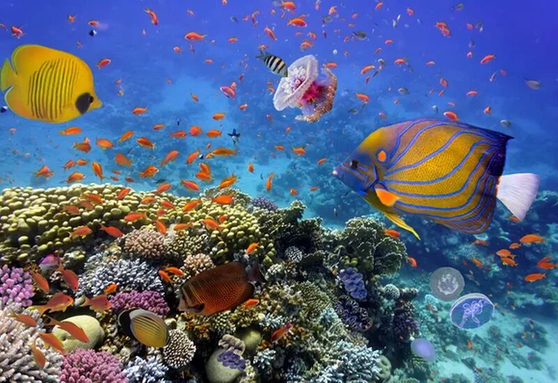 Sharm el Sheikh - Kahire ve  İskenderiye Masalı Ajet Hava Yolları İle 6 Gece 8 Gün