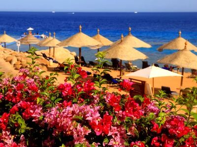 Sharm el Sheikh - Kahire ve İskenderiye Masalı Ajet Hava Yolları İle 5 Gece 7 Gün