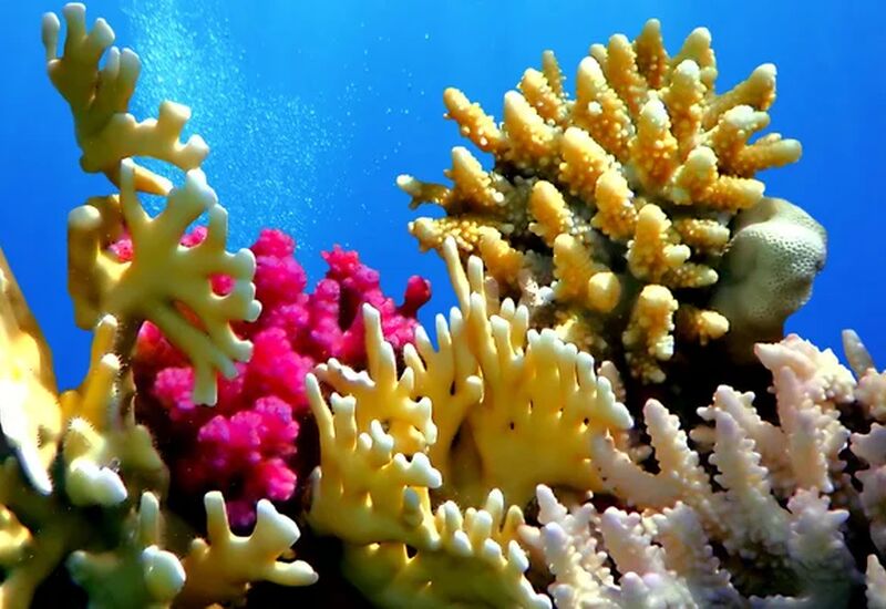 Sharm el Sheikh - Kahire ve  İskenderiye Masalı Ajet Hava Yolları İle 5 Gece 7 Gün