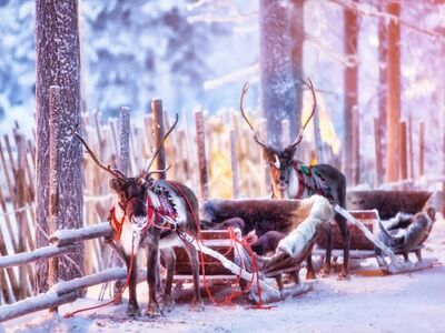 Lapland Serüveni Türk Hava Yolları İle 3 Gece 4 Gün
