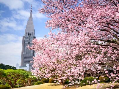 Uzak Doğu’nun Güneşi ve Kırmızı Ejderhası “Japonya ve Çin” THY ile 10 gece (HND-PEK) 