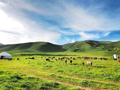 Üç Ülke Tek Medeniyet  Kırgızistan, Kazakistan, Özbekistan Turu THY ile 8 gece (BSZ-BHK) 