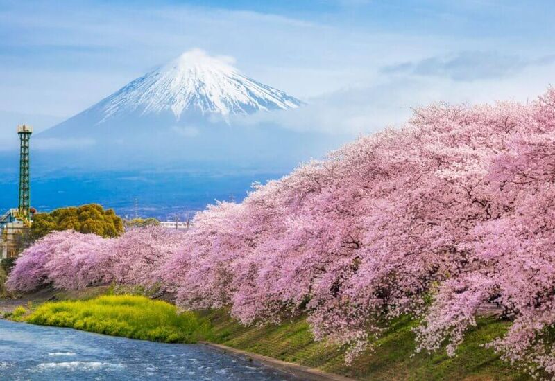 Uzak Doğu’nun Güneşi “Japonya” THY ile 6 gece (KIX-HND) 