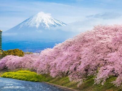 Uzak Doğu’nun Güneşi “Japonya” THY ile 6 gece (KIX-HND) 