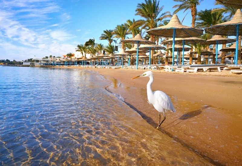 NİL NEHRİNDEN PİRAMİTLERE MISIR TURU 7 Gece 8 Gün 2026 YAZ (HRG-SPX)