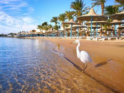 NİL NEHRİNDEN PİRAMİTLERE MISIR TURU 7 Gece 8 Gün 2026 YAZ (HRG-SPX)