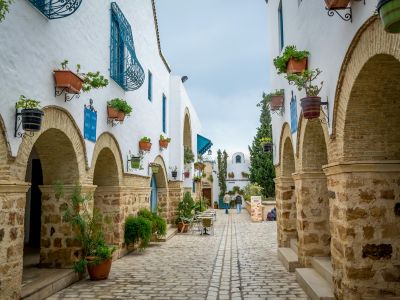 ELEGANT SAHRA ÇÖLÜ & TUNUS HAZİNELERİ Türk Hava Yolları ile 5 Gece (TUN-TUN)