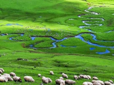 Uçaklı Uzun Karadeniz Batum Ve Tiflis Turu PGS ile 5 Gece 6 Gün