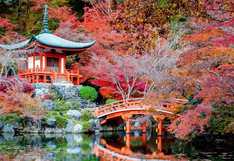 THY ile Grand Japonya Kore Turu 7 Gece 9 Gün - Tüm Turlar Dahil Kurban Bayramı Özel