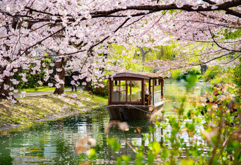 Ana HY İle Grand Japonya Turu HND-HND - Tüm Turlar Dahil HND-HND